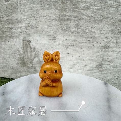 養兔子招財|【養兔子風水】養兔子的風水大解密：招財旺運還是招來邪氣？